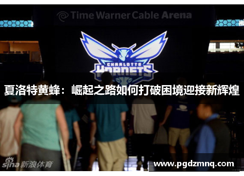 夏洛特黄蜂：崛起之路如何打破困境迎接新辉煌