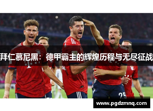 拜仁慕尼黑：德甲霸主的辉煌历程与无尽征战