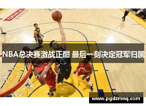 NBA总决赛激战正酣 最后一刻决定冠军归属