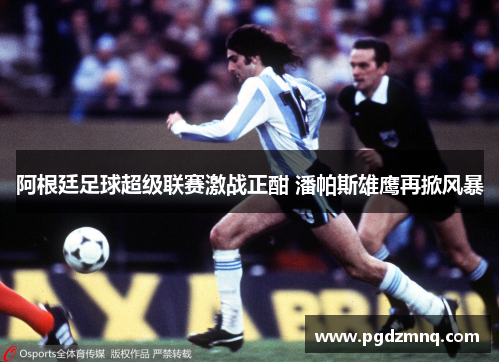 阿根廷足球超级联赛激战正酣 潘帕斯雄鹰再掀风暴