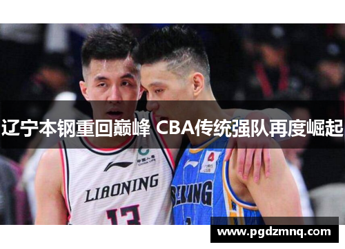 辽宁本钢重回巅峰 CBA传统强队再度崛起