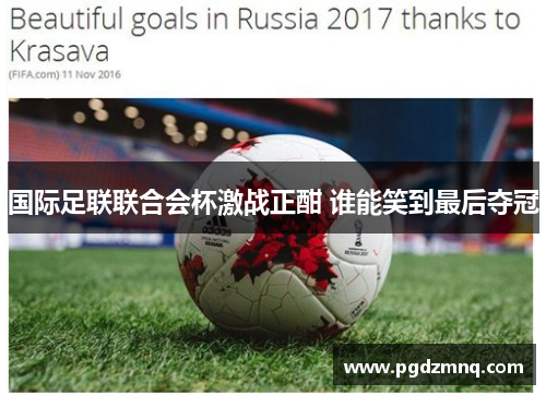 国际足联联合会杯激战正酣 谁能笑到最后夺冠