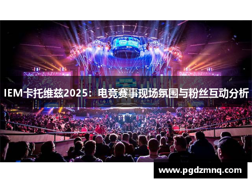 IEM卡托维兹2025：电竞赛事现场氛围与粉丝互动分析