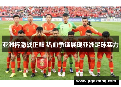 亚洲杯激战正酣 热血争锋展现亚洲足球实力