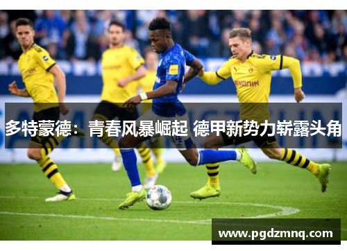 多特蒙德：青春风暴崛起 德甲新势力崭露头角