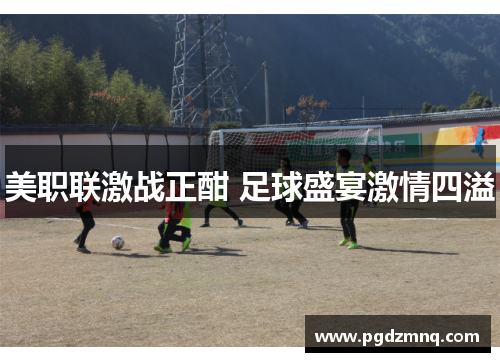 美职联激战正酣 足球盛宴激情四溢