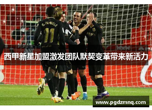西甲新星加盟激发团队默契变革带来新活力
