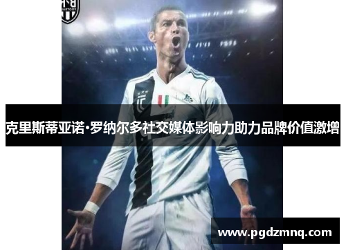 克里斯蒂亚诺·罗纳尔多社交媒体影响力助力品牌价值激增