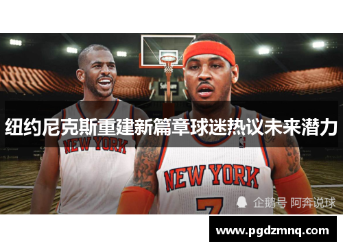 纽约尼克斯重建新篇章球迷热议未来潜力