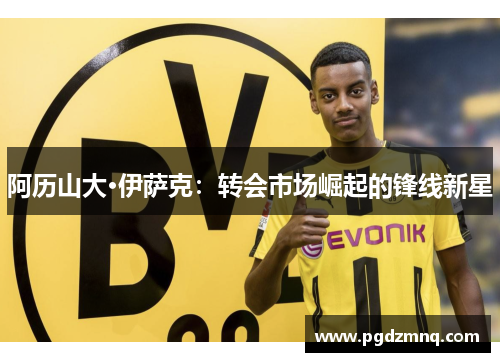 阿历山大·伊萨克：转会市场崛起的锋线新星