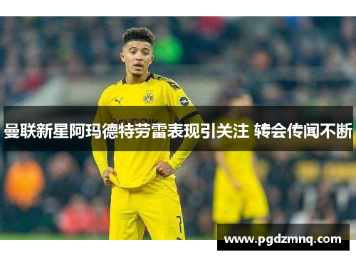 曼联新星阿玛德特劳雷表现引关注 转会传闻不断