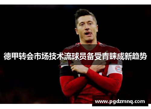 德甲转会市场技术流球员备受青睐成新趋势