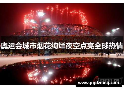 奥运会城市烟花绚烂夜空点亮全球热情