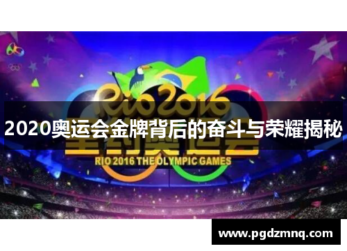 2020奥运会金牌背后的奋斗与荣耀揭秘