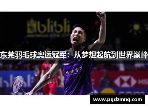 东莞羽毛球奥运冠军：从梦想起航到世界巅峰